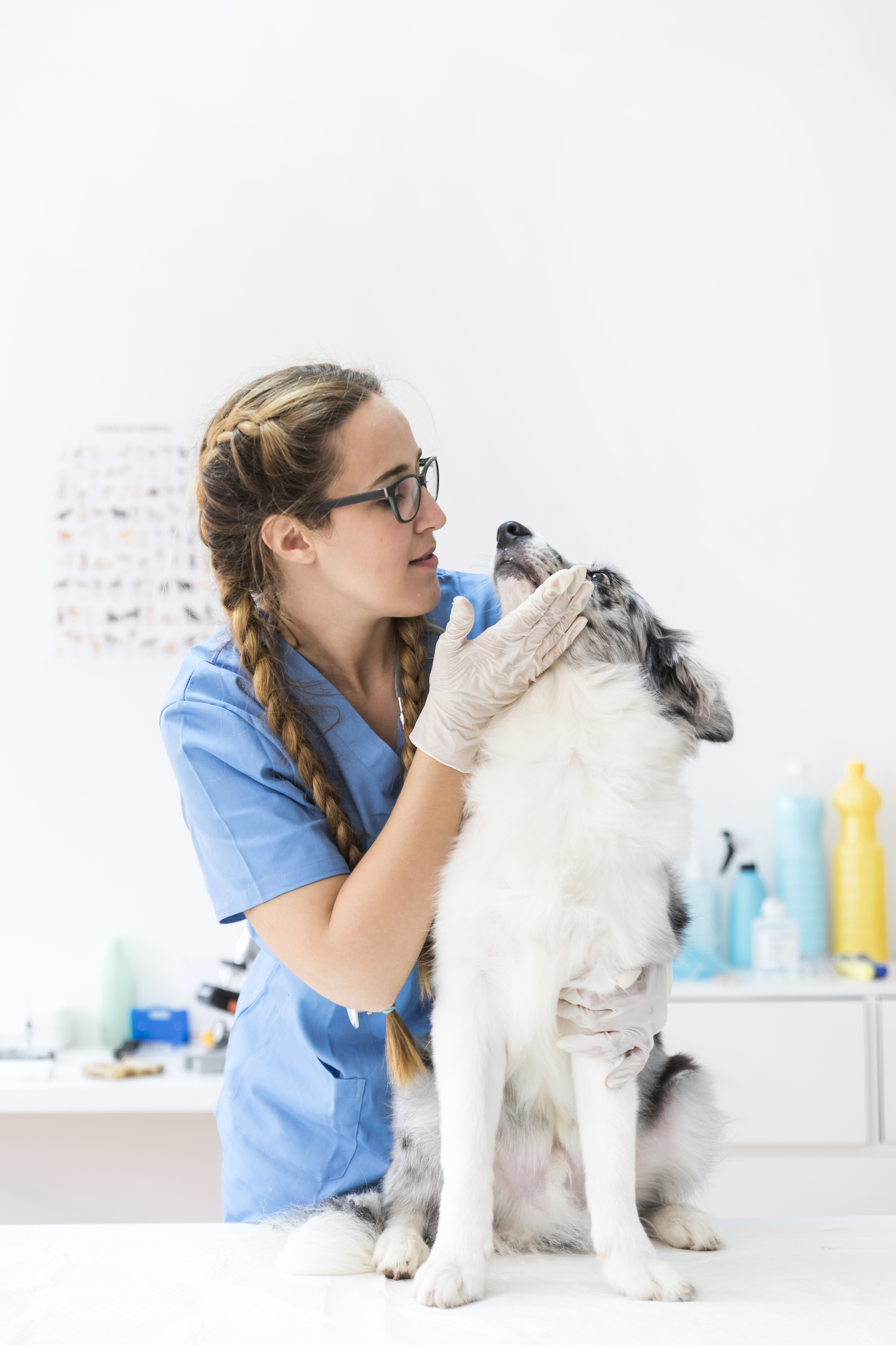 Técnico Veterinaria