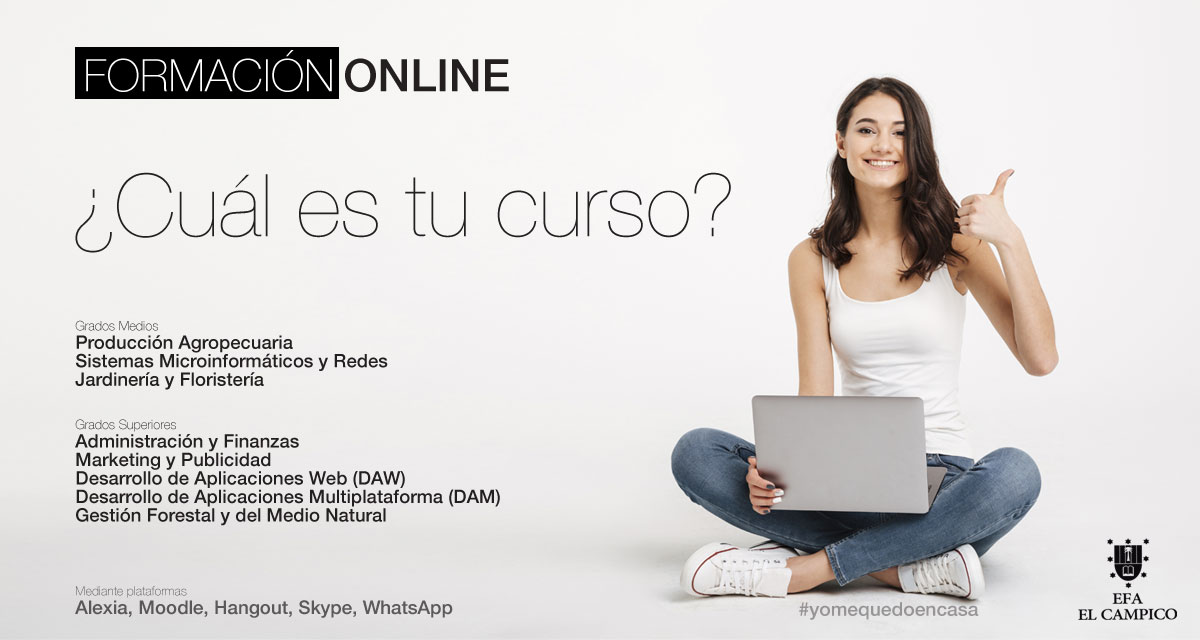 Cursos ONLINE