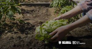 Agricultura Ecológica - Curso Gratuito