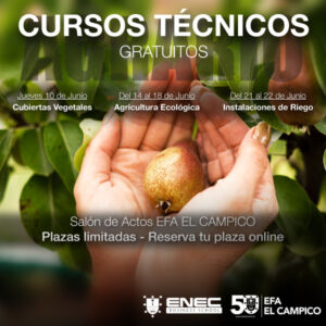 Jornada y cursos gratuitos