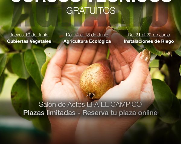 Jornada y cursos gratuitos