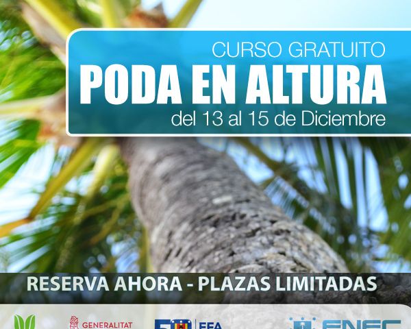 Curso Gratuito - Poda en Altura