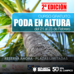 Curso Gratuito - Poda en Altura 2ª Edición