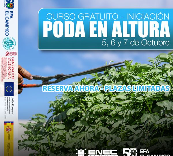 Curso de Poda en altura