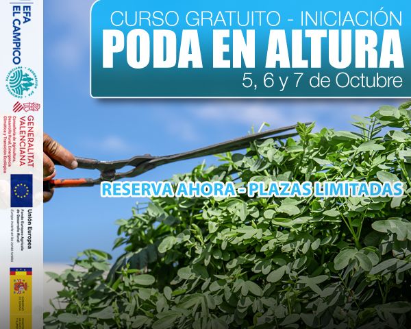 Curso de Poda en altura