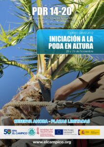 Curso gratuito - Iniciación a la poda en altura