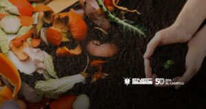 Curso gratuito - Taller de compostaje