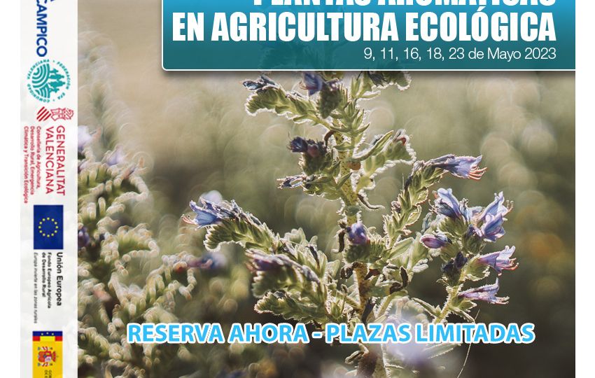 Curso Gratuito - PLANTAS AROMÁTICAS EN AGRICULTURA ECOLÓGICA - EFA El Campico - Abril 2023