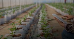 Cursos Gratuitos PDR - Herramientas digitales aplicadas a agricultura - Octubre 2023