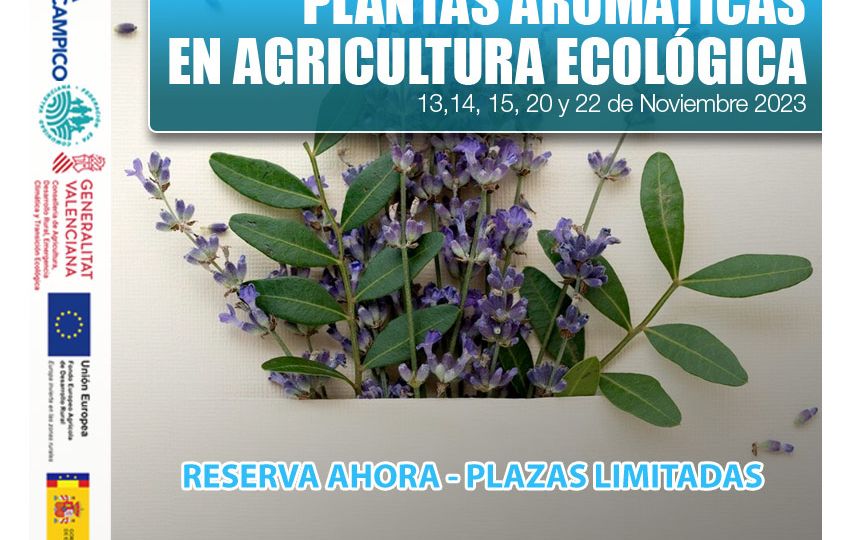 Cursos Gratuitos PDR - Plantas aromáticas en agricultura ecológica- Noviembre 2023