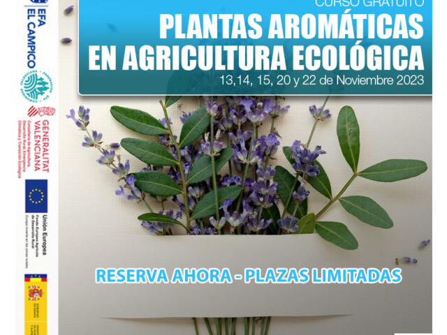 Cursos Gratuitos PDR - Plantas aromáticas en agricultura ecológica- Noviembre 2023
