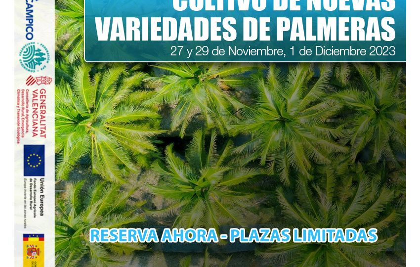 Cursos Gratuitos PDR - Cultivo de nuevas variedades de palmeras - Octubre 2023