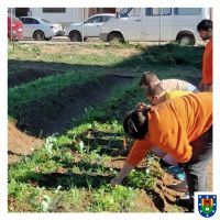 Consumo ecológico y recuperación de variedades tradicionales hortícolas valencianas