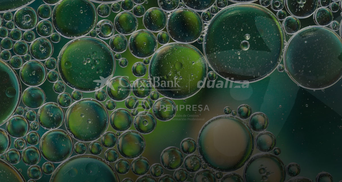 Fondo Cabecera de Dualiza-CaixaBank - EFA EL CAMPICO