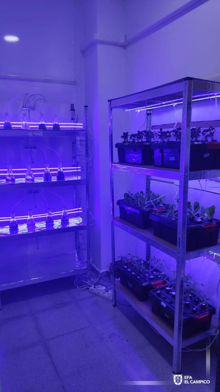 Seleccionados para los Premios a la Ecoinnovación