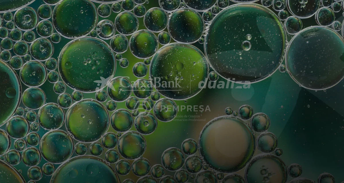 Fondo Cabecera de Dualiza-CaixaBank - EFA EL CAMPICO